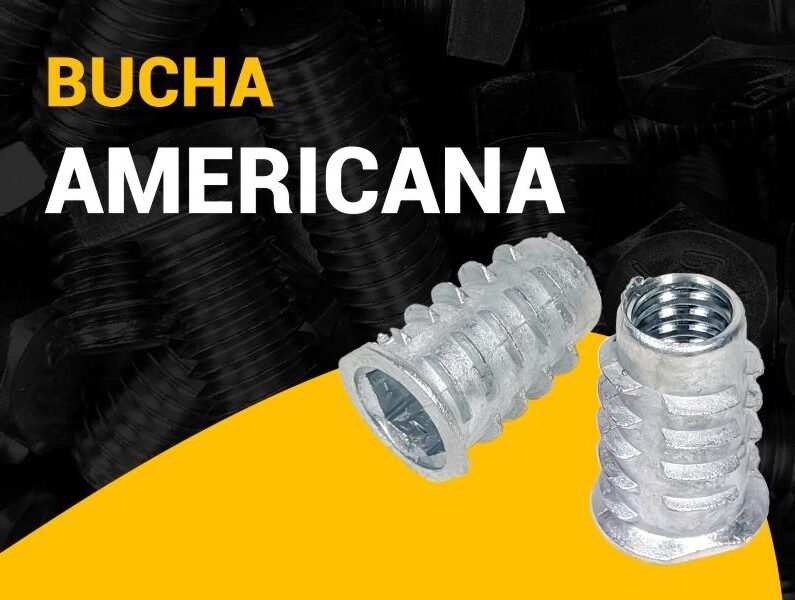 banner-bucha-americana